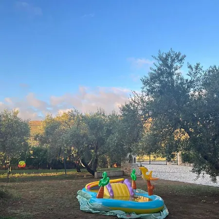 Kleidi's